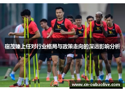 宿茂臻上任对行业格局与政策走向的深远影响分析