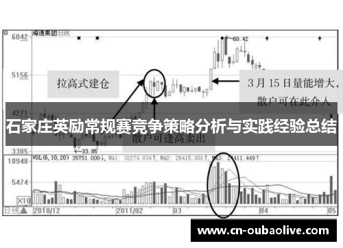 石家庄英励常规赛竞争策略分析与实践经验总结