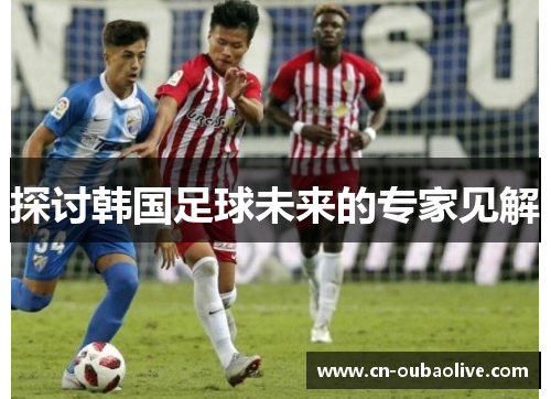 探讨韩国足球未来的专家见解