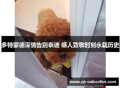 多特蒙德深情告别泰迪 感人致敬时刻永载历史