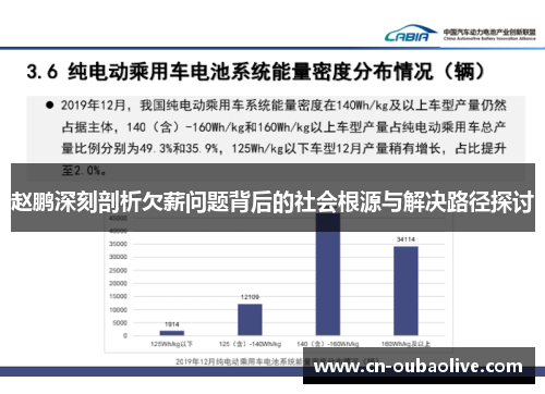 赵鹏深刻剖析欠薪问题背后的社会根源与解决路径探讨