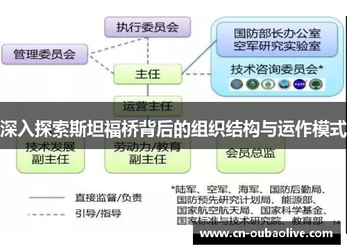 深入探索斯坦福桥背后的组织结构与运作模式