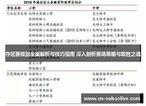 夺冠赛级别全面解析与技巧指南 深入剖析赛场策略与取胜之道