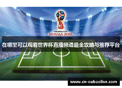 在哪里可以观看世界杯直播频道最全攻略与推荐平台